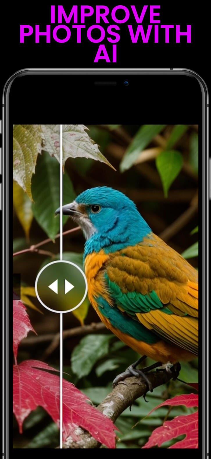 improve images with ai, clean my phone